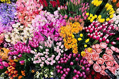 心里恐怖新作《失心疯》上架Steam 推荐GTX 1060显卡